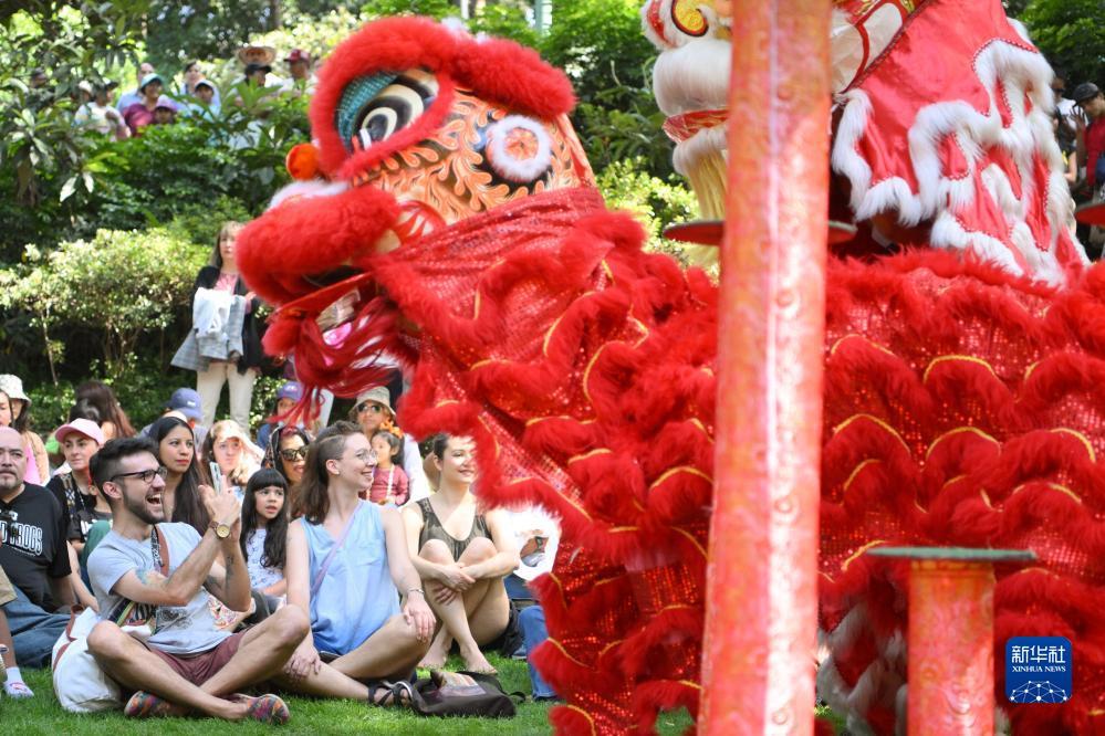 单机免费免流量老虎机
